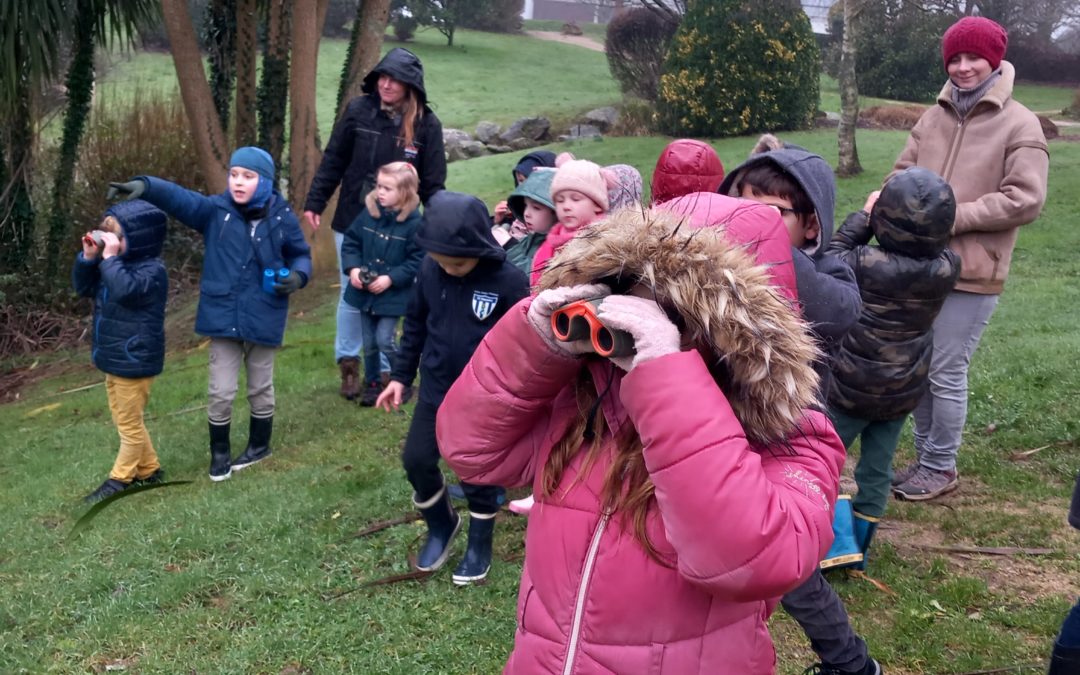 A la découverte des oiseaux !