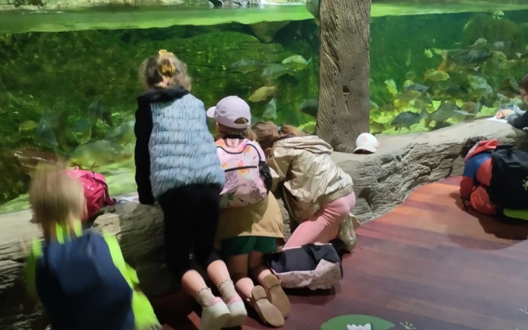 Tous à Aquashow !