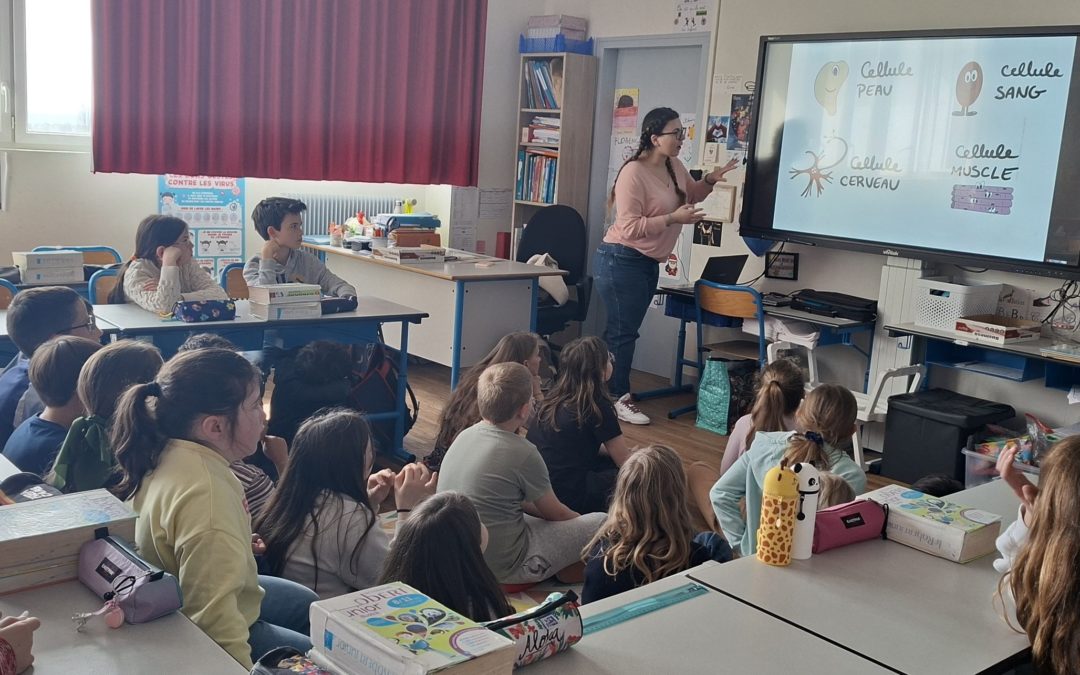 Des chercheurs à l&rsquo;école !